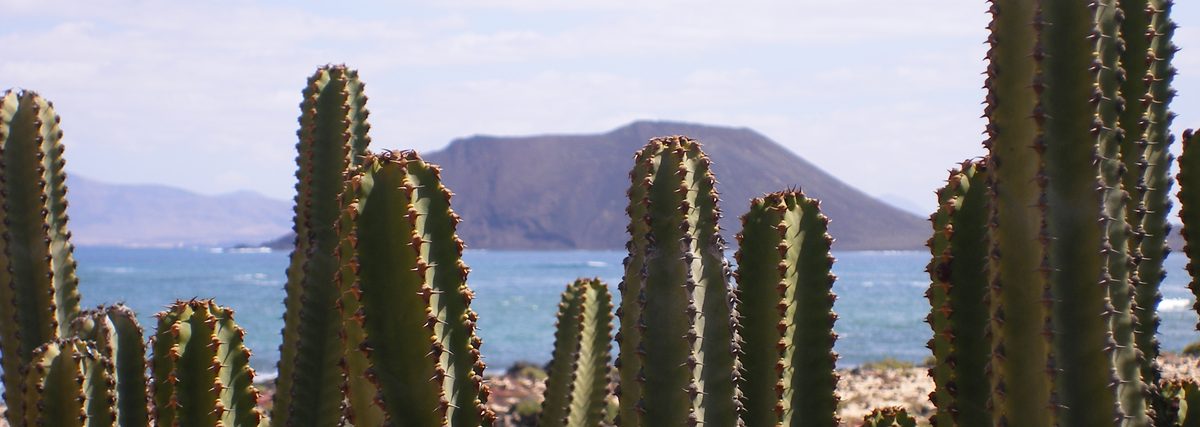 Fuerteventura Norte