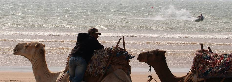 Essaouira kitesurf