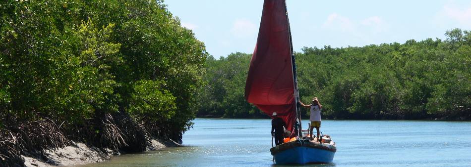 Ilha do Guajiru