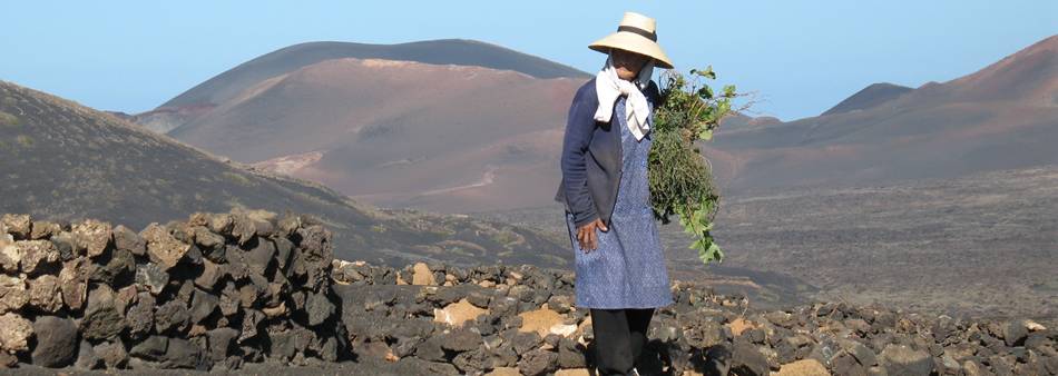 Lanzarote