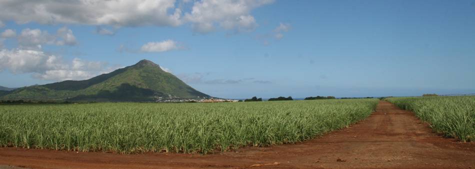 Le Morne