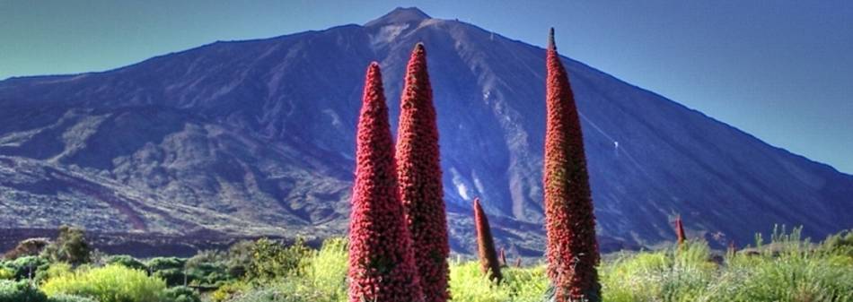 Tenerife