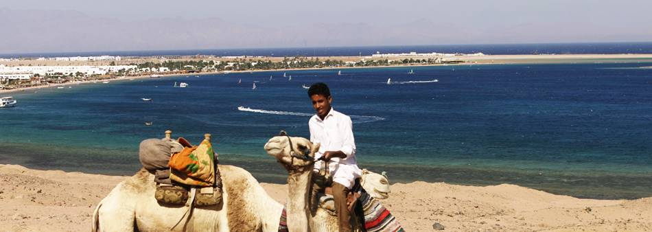 Dahab windsurf